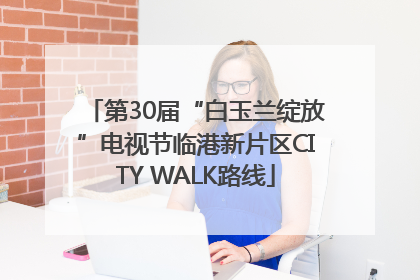 第30届“白玉兰绽放”电视节临港新片区CITY WALK路线