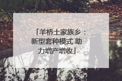 羊桥土家族乡：新型套种模式 助力增产增收