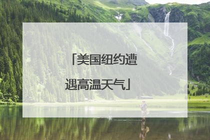 美国纽约遭遇高温天气
