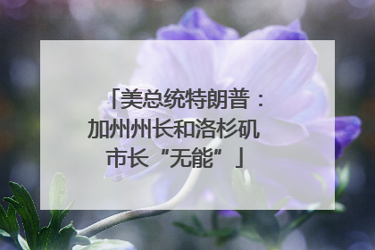 美总统特朗普：加州州长和洛杉矶市长“无能”