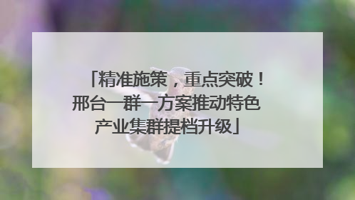 精准施策，重点突破！邢台一群一方案推动特色产业集群提档升级