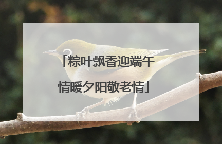 粽叶飘香迎端午 情暖夕阳敬老情