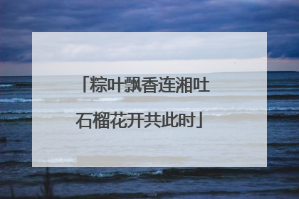 粽叶飘香连湘吐 石榴花开共此时