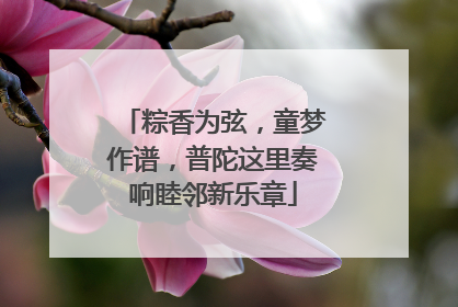 粽香为弦，童梦作谱，普陀这里奏响睦邻新乐章