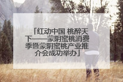 红动中国 桃醉天下——蒙阴蜜桃消费季暨蒙阴蜜桃产业推介会成功举办