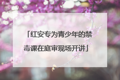 红安专为青少年的禁毒课在庭审现场开讲