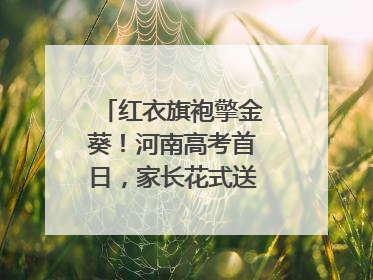 红衣旗袍擎金葵！河南高考首日，家长花式送考藏满爱与盼