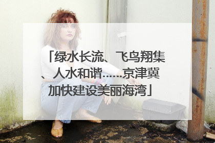 绿水长流、飞鸟翔集、人水和谐……京津冀加快建设美丽海湾