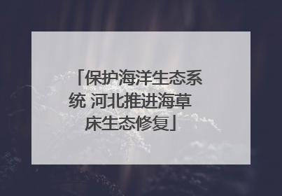 保护海洋生态系统 河北推进海草床生态修复
