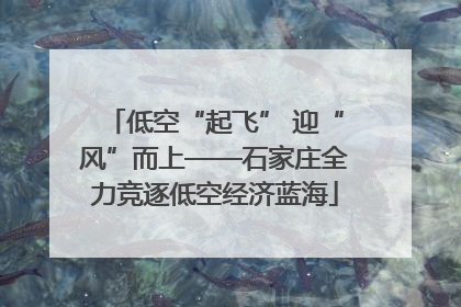 低空“起飞” 迎“风”而上——石家庄全力竞逐低空经济蓝海
