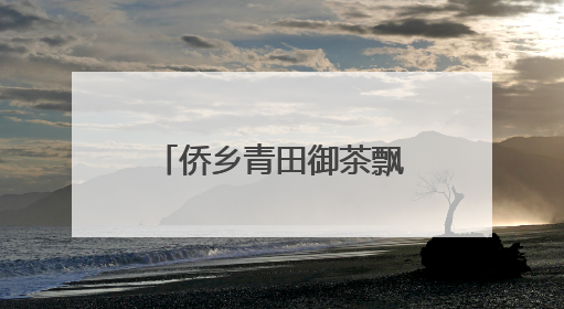 侨乡青田御茶飘香西班牙 架起中西文化交流桥梁