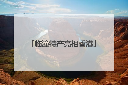 临潼特产亮相香港