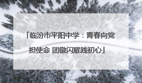 临汾市平阳中学：青春向党担使命 团徽闪耀践初心