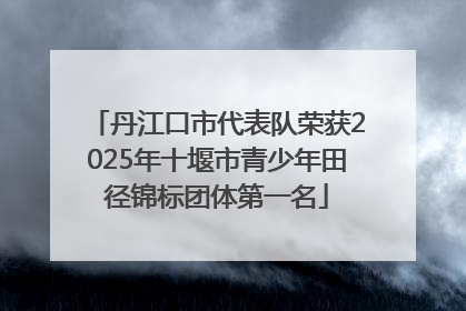 丹江口市代表队荣获2025年十堰市青少年田径锦标团体第一名