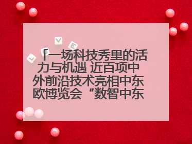 一场科技秀里的活力与机遇 近百项中外前沿技术亮相中东欧博览会“数智中东欧”板块