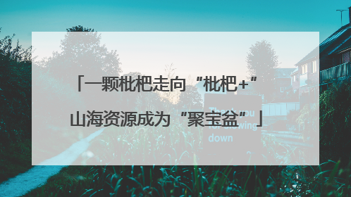 一颗枇杷走向“枇杷+” 山海资源成为“聚宝盆”