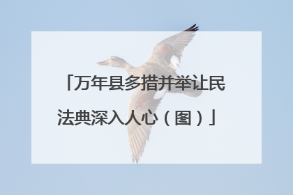 万年县多措并举让民法典深入人心（图）