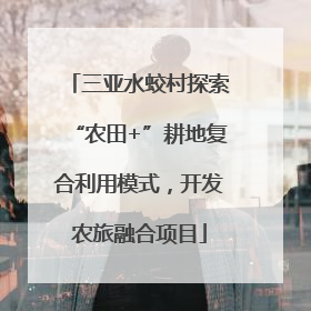 三亚水蛟村探索“农田+”耕地复合利用模式，开发农旅融合项目