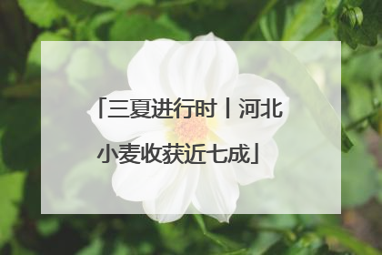 三夏进行时丨河北小麦收获近七成