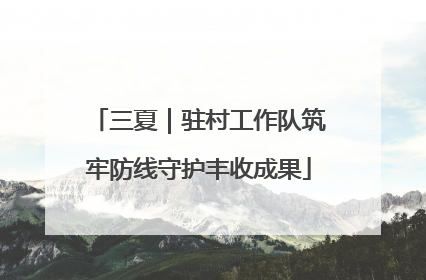 三夏｜驻村工作队筑牢防线守护丰收成果