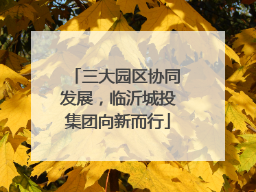 三大园区协同发展，临沂城投集团向新而行