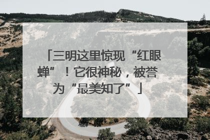 三明这里惊现“红眼蝉”！它很神秘，被誉为“最美知了”