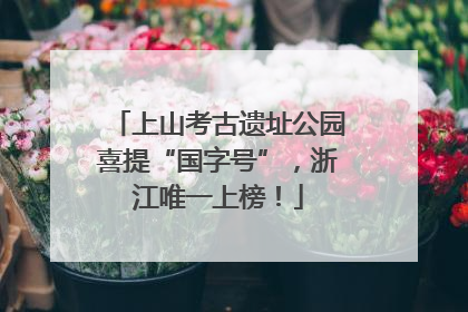 上山考古遗址公园喜提“国字号”，浙江唯一上榜！