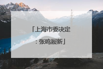 上海市委决定：张鸣履新