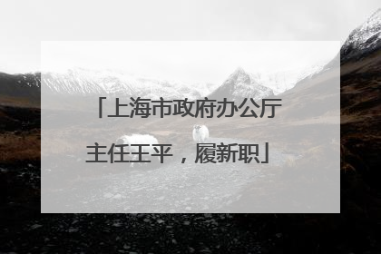 上海市政府办公厅主任王平，履新职
