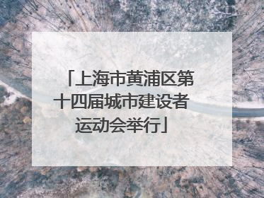 上海市黄浦区第十四届城市建设者运动会举行