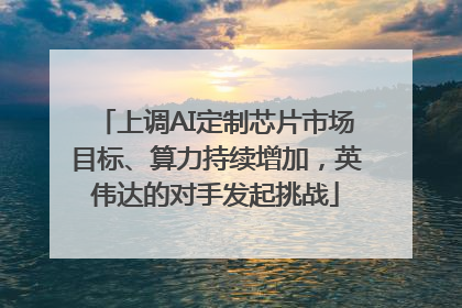 上调AI定制芯片市场目标、算力持续增加，英伟达的对手发起挑战
