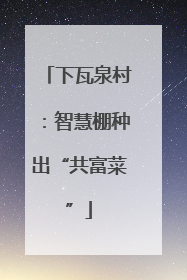 下瓦泉村：智慧棚种出“共富菜”