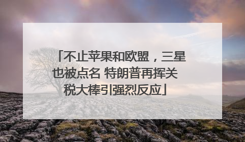 不止苹果和欧盟，三星也被点名 特朗普再挥关税大棒引强烈反应