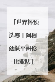 世界杯预选赛丨阿根廷队平哥伦比亚队