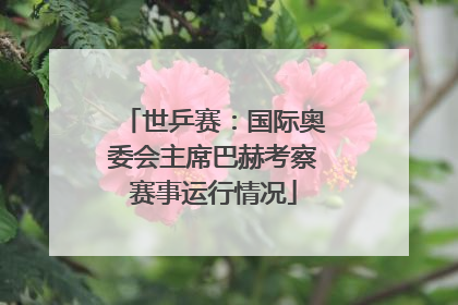 世乒赛：国际奥委会主席巴赫考察赛事运行情况