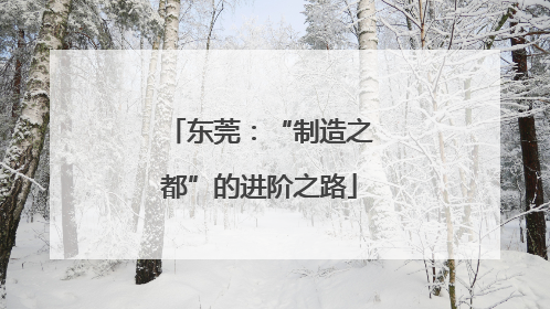 东莞：“制造之都”的进阶之路