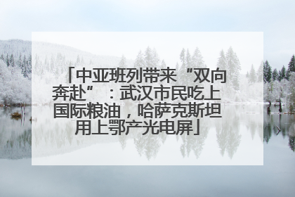 中亚班列带来“双向奔赴”：武汉市民吃上国际粮油，哈萨克斯坦用上鄂产光电屏