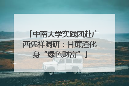 中南大学实践团赴广西凭祥调研：甘蔗渣化身“绿色财富”