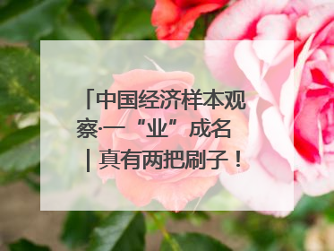 中国经济样本观察·一“业”成名｜真有两把刷子！“刷”出30亿级“颜值经济”