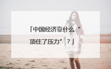 中国经济靠什么“顶住了压力”？