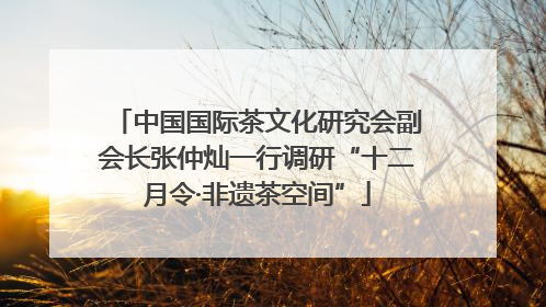 中国国际茶文化研究会副会长张仲灿一行调研“十二月令·非遗茶空间”