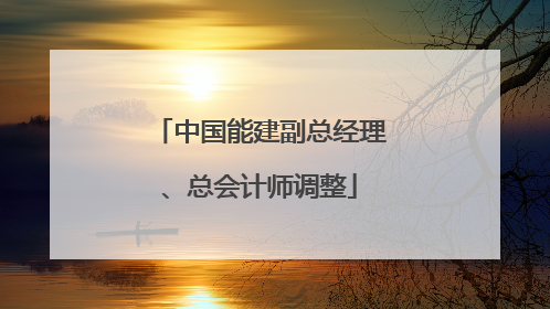 中国能建副总经理、总会计师调整