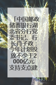 中国邮政储蓄银行湖北省分行党委书记、行长肖子政：今年计划投放不少于2000亿元支持支点建设