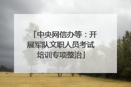 中央网信办等：开展军队文职人员考试培训专项整治