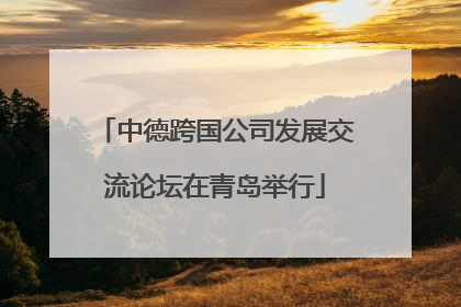 中德跨国公司发展交流论坛在青岛举行