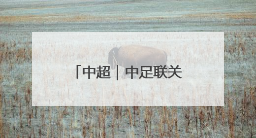 中超｜中足联关注河南vs蓉城极端球迷不当行为：强烈谴责！