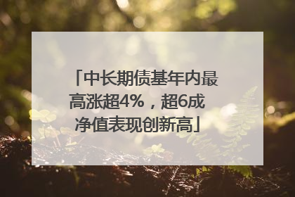 中长期债基年内最高涨超4%，超6成净值表现创新高
