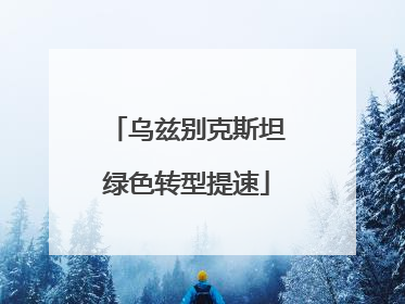 乌兹别克斯坦绿色转型提速
