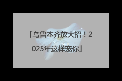 乌鲁木齐放大招！2025年这样宠你