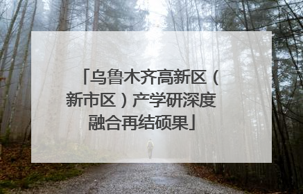 乌鲁木齐高新区（新市区）产学研深度融合再结硕果
